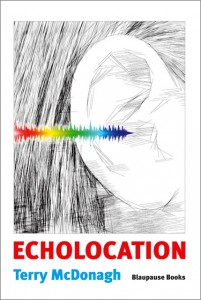 ECHOLOCATION_COVER_1