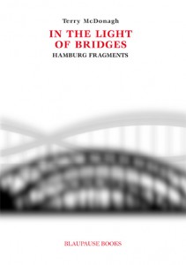 in-the-light-of-bridges-cover